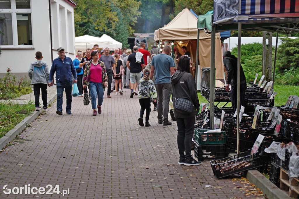 Agro Gorlice 2024 w Bystrej (sobota 28.09.)