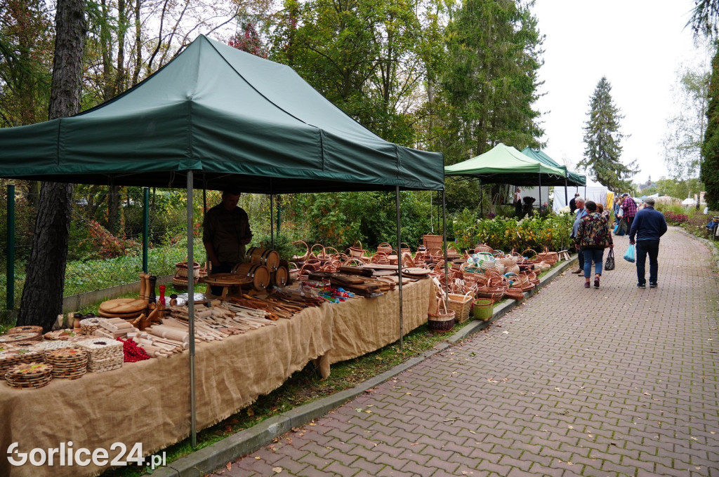 Agro Gorlice 2024 w Bystrej (sobota 28.09.)