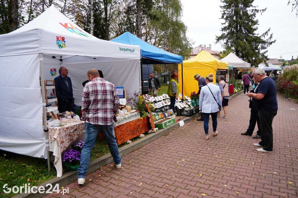 Agro Gorlice 2024 w Bystrej (sobota 28.09.)
