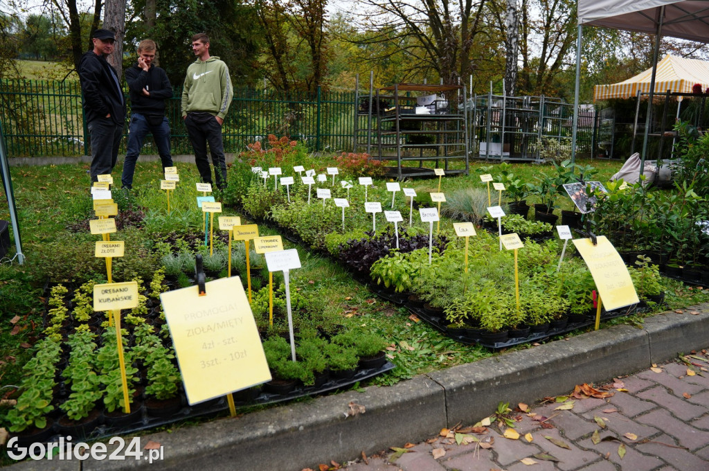 Agro Gorlice 2024 w Bystrej (sobota 28.09.)