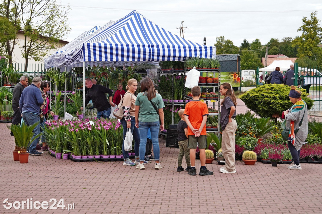 Agro Gorlice 2024 w Bystrej (sobota 28.09.)