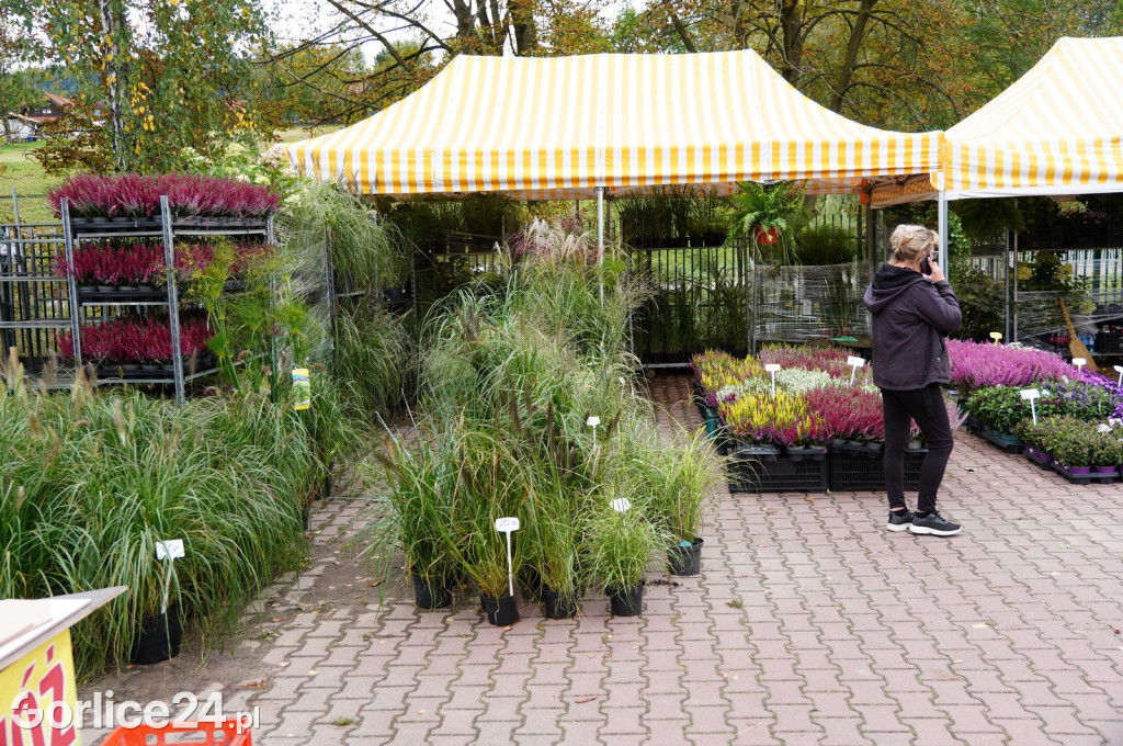 Agro Gorlice 2024 w Bystrej (sobota 28.09.)