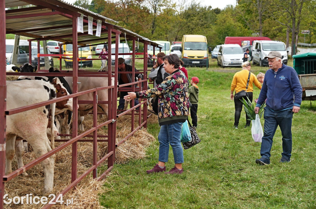 Agro Gorlice 2024 w Bystrej (sobota 28.09.)