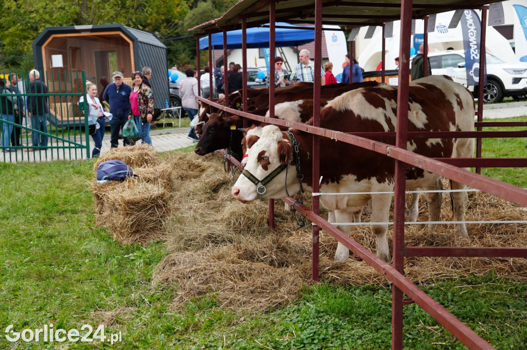 Agro Gorlice 2024 w Bystrej (sobota 28.09.)