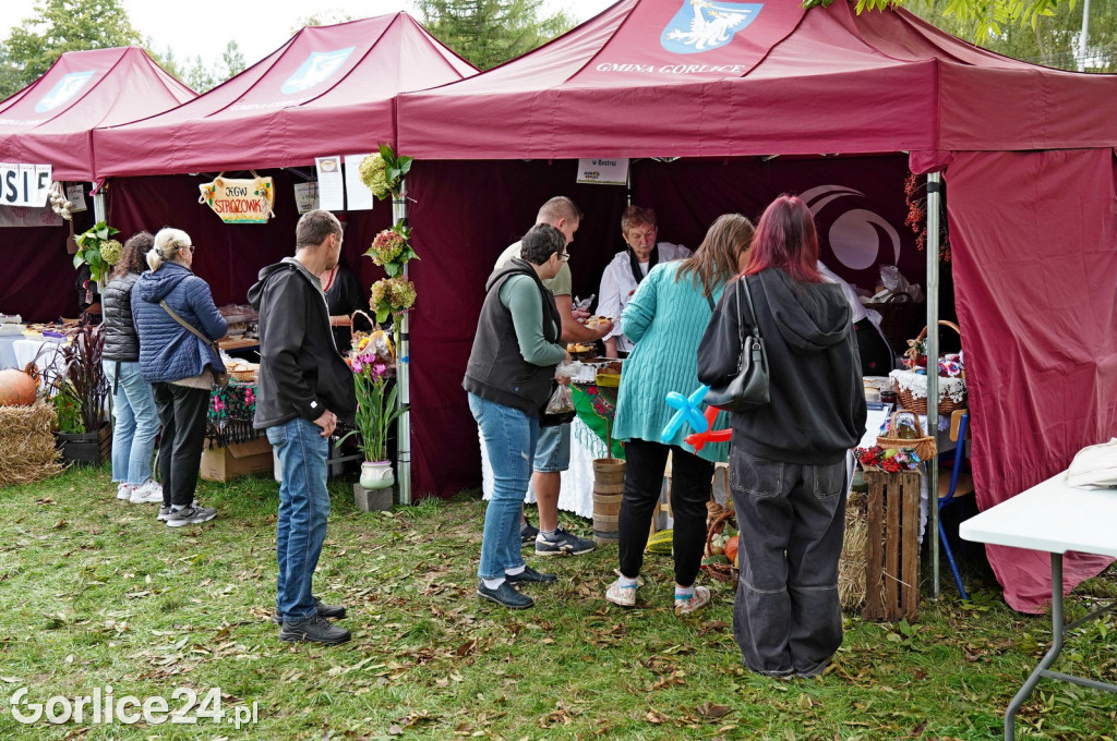 Agro Gorlice 2024 w Bystrej (sobota 28.09.)