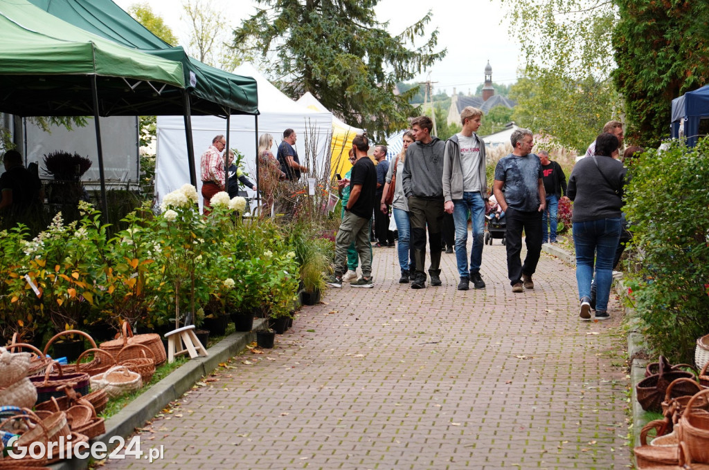 Agro Gorlice 2024 w Bystrej (sobota 28.09.)