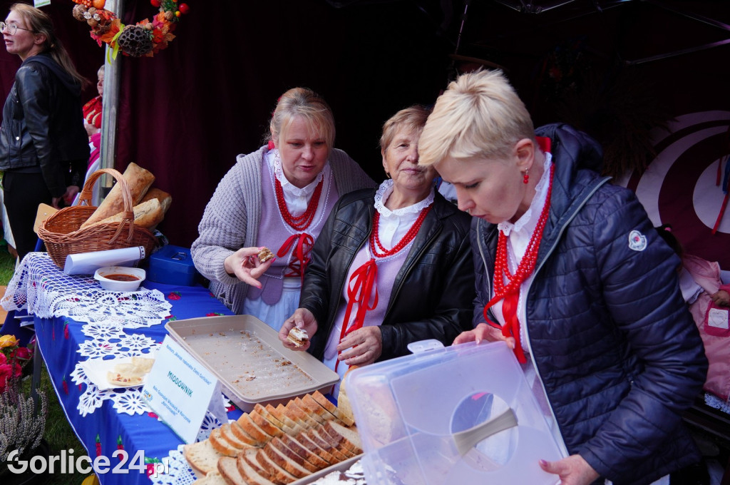 Agro Gorlice 2024 w Bystrej - niedziela