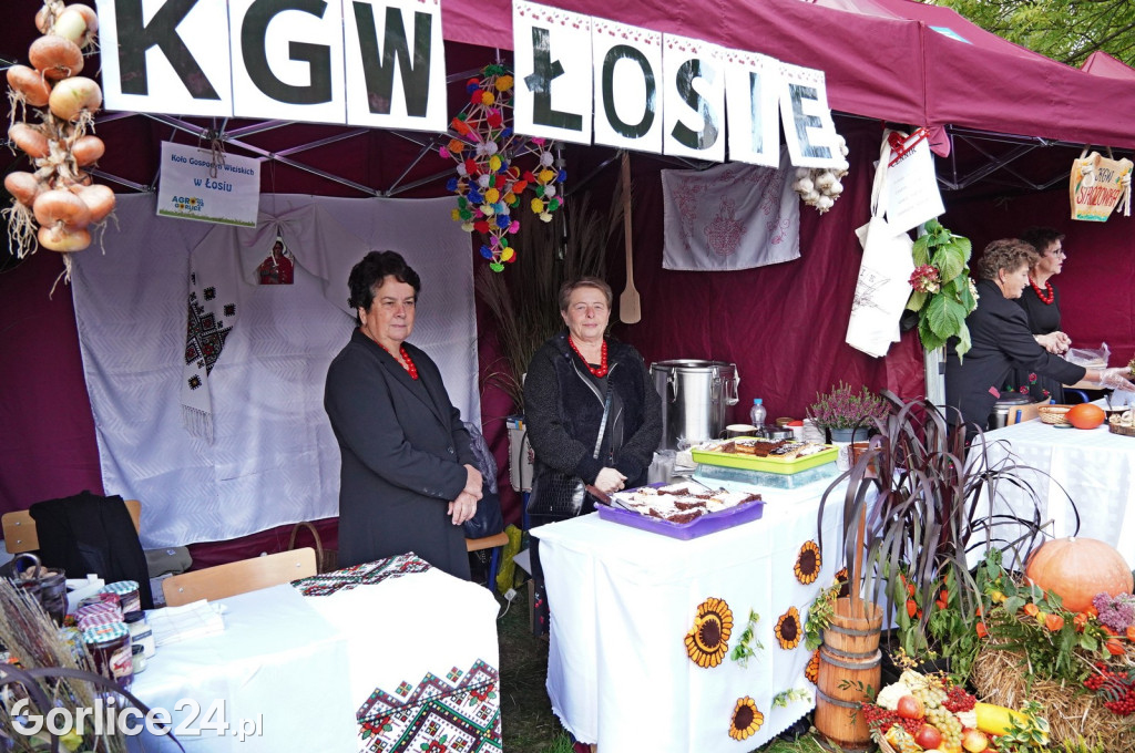 Agro Gorlice 2024 w Bystrej - niedziela