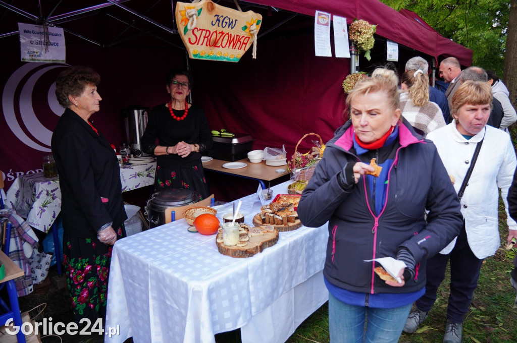 Agro Gorlice 2024 w Bystrej - niedziela