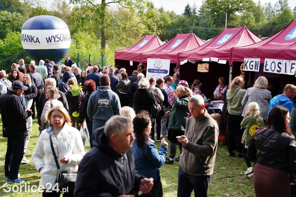 Agro Gorlice 2024 w Bystrej - niedziela