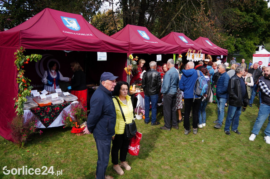 Agro Gorlice 2024 w Bystrej - niedziela