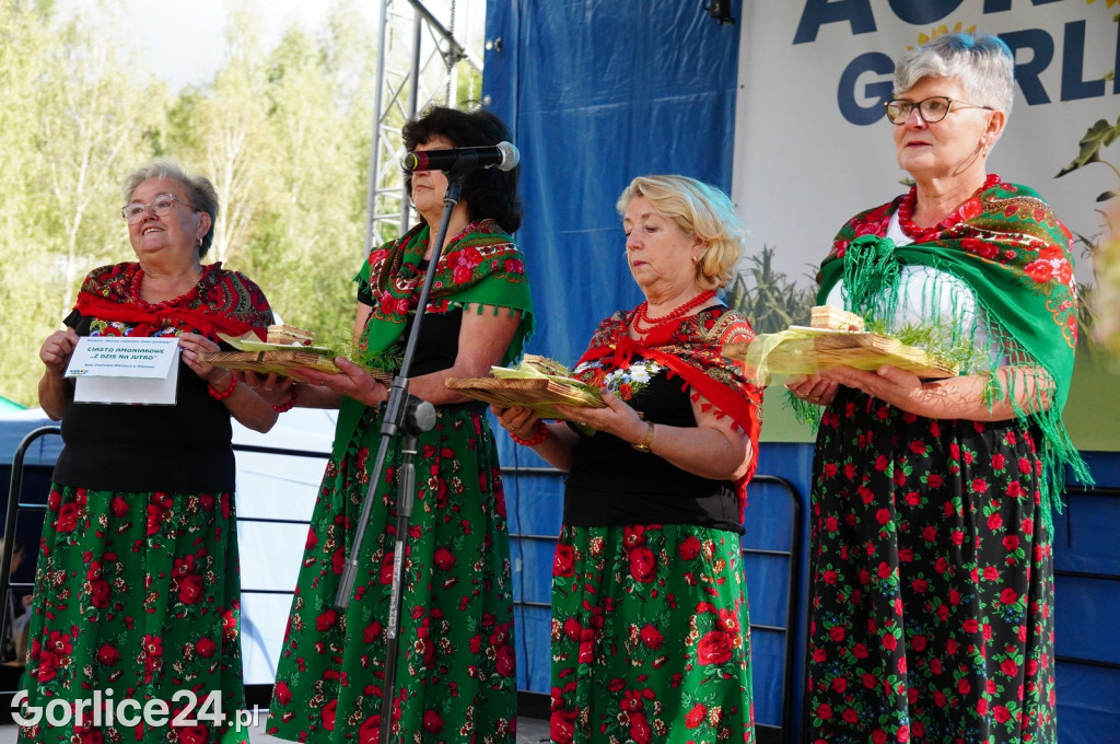 Agro Gorlice 2024 w Bystrej - niedziela