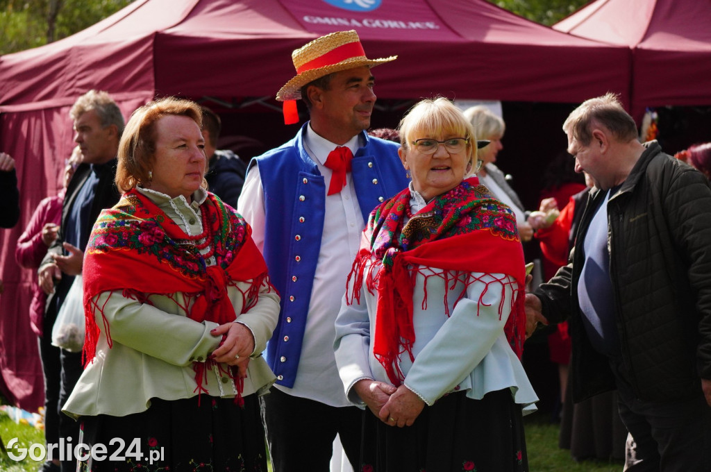 Agro Gorlice 2024 w Bystrej - niedziela