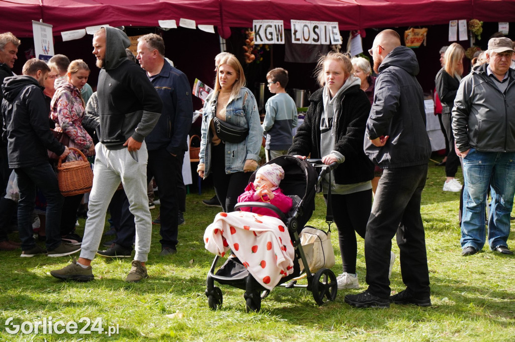 Agro Gorlice 2024 w Bystrej - niedziela