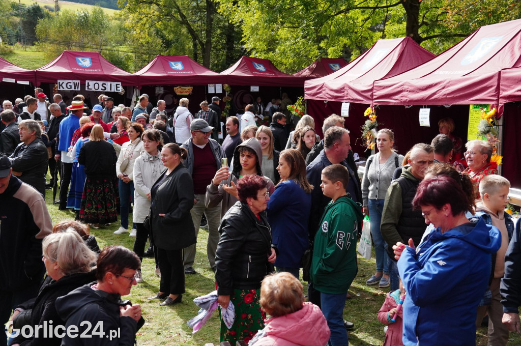 Agro Gorlice 2024 w Bystrej - niedziela