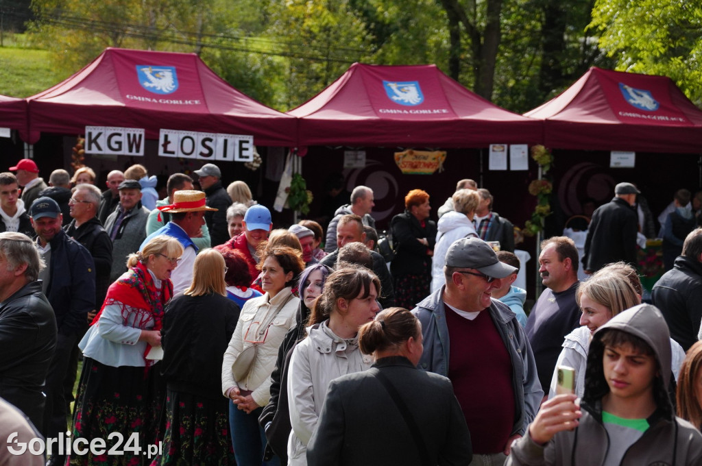 Agro Gorlice 2024 w Bystrej - niedziela