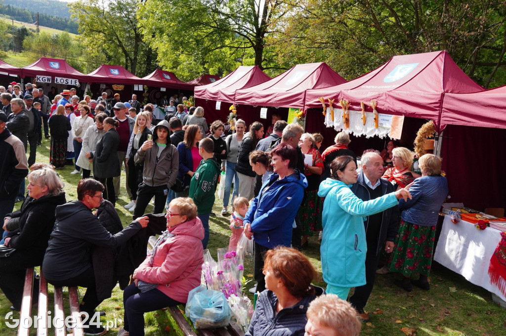 Agro Gorlice 2024 w Bystrej - niedziela