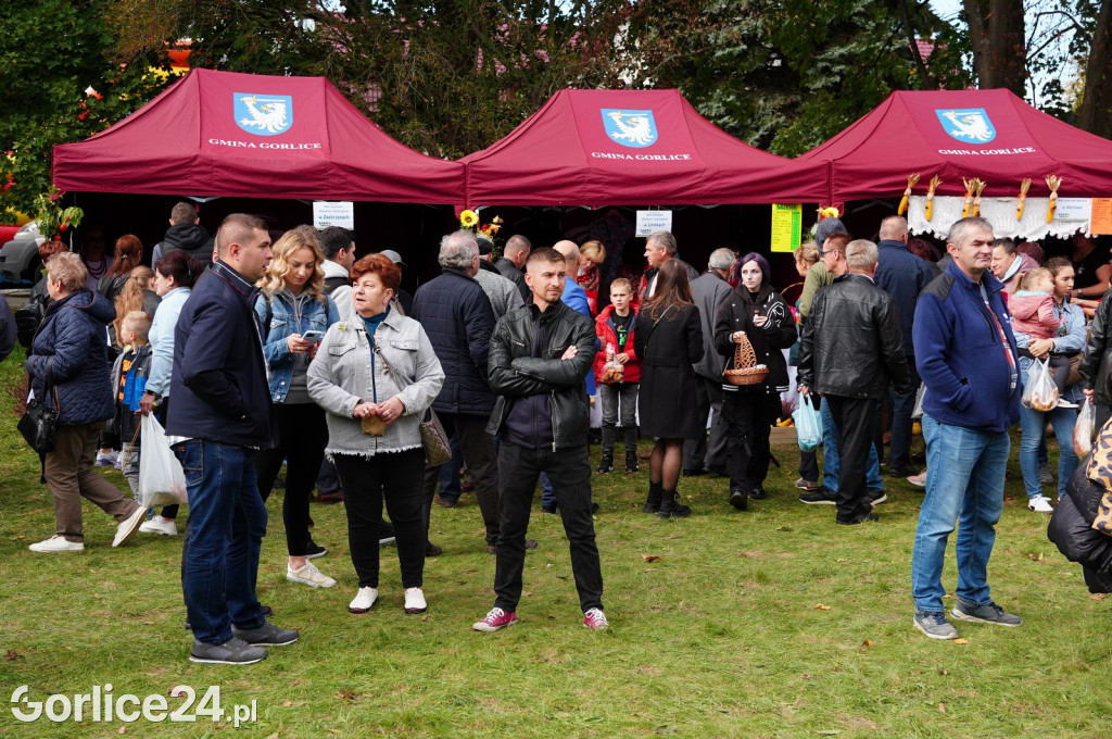 Agro Gorlice 2024 w Bystrej - niedziela