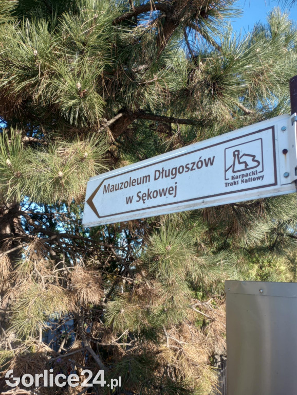 Kwesty na cmentarzach w Gorlicach i Sękowej (01.11)