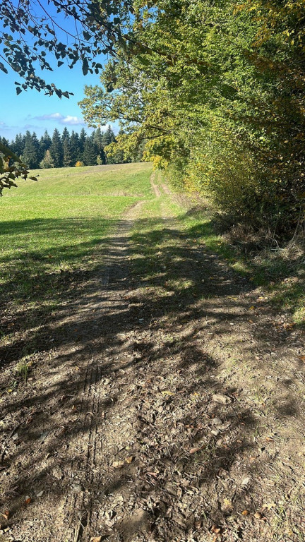 Prace poscaleniowe w Racławicach i Rożnowicach