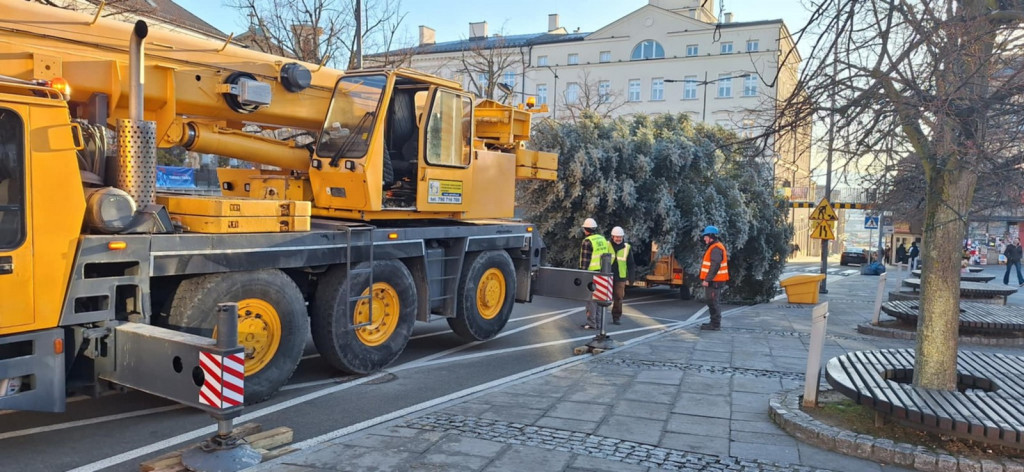 Choinka dotarła na gorlicki Rynek (26.11.)