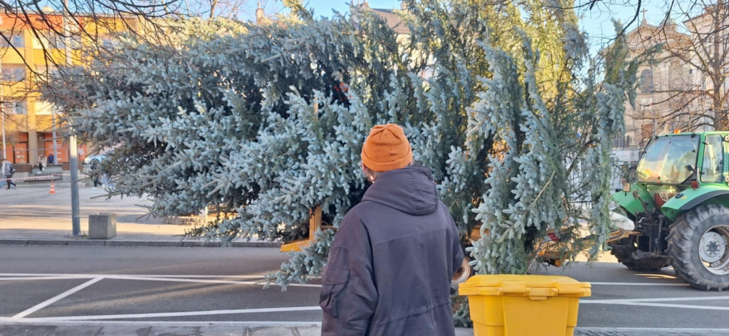 Choinka dotarła na gorlicki Rynek (26.11.)