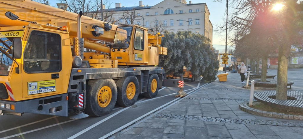 Choinka dotarła na gorlicki Rynek (26.11.)