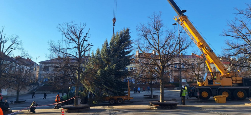 Choinka dotarła na gorlicki Rynek (26.11.)