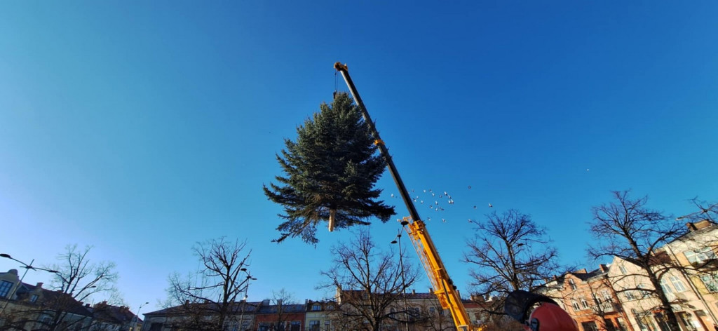 Choinka dotarła na gorlicki Rynek (26.11.)