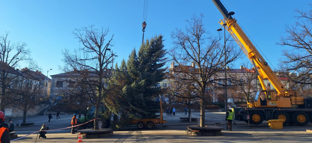 Choinka dotarła na gorlicki Rynek (26.11.)