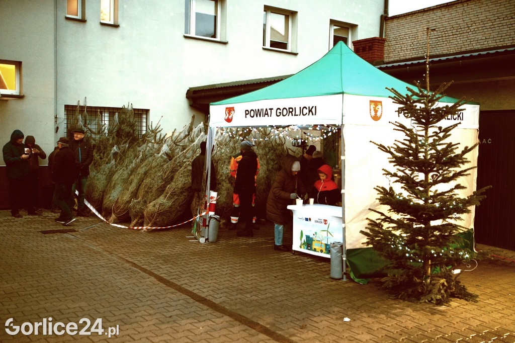 Choinki od Starosty (20.12.)