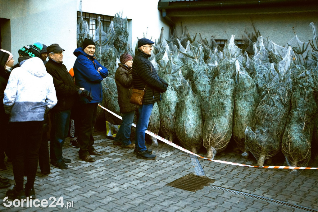 Choinki od Starosty (20.12.)