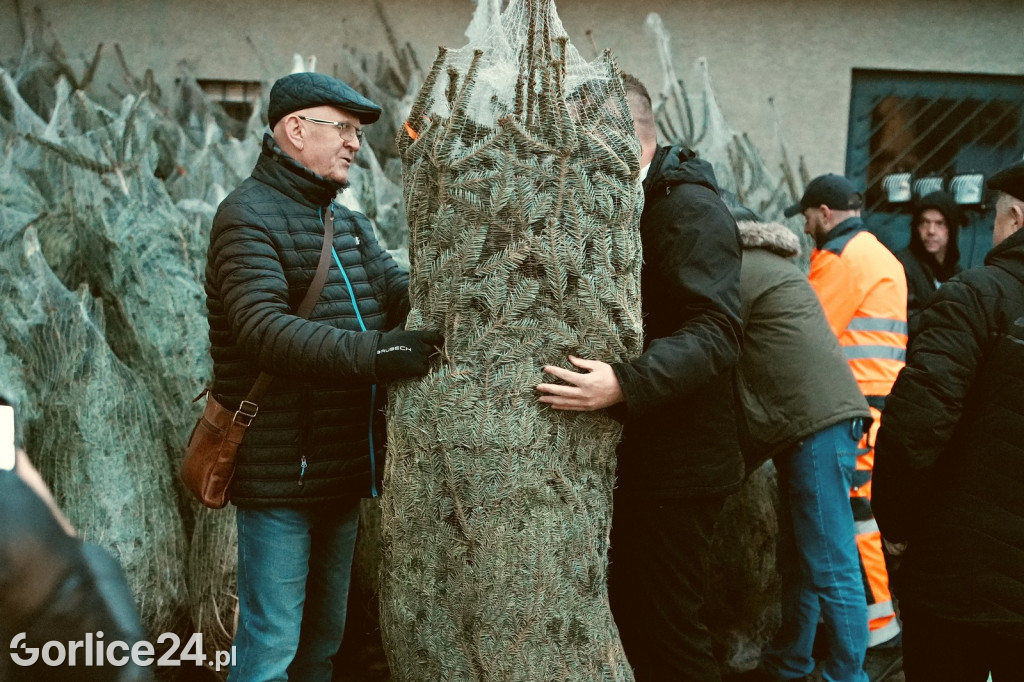Choinki od Starosty (20.12.)