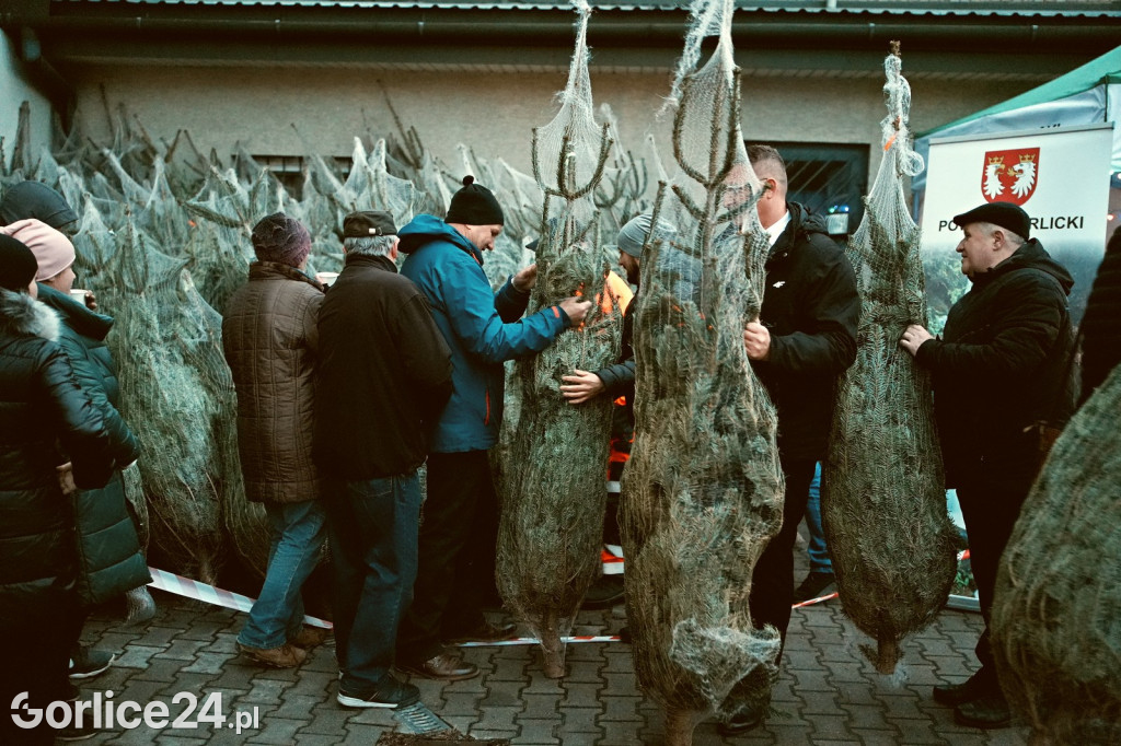 Choinki od Starosty (20.12.)