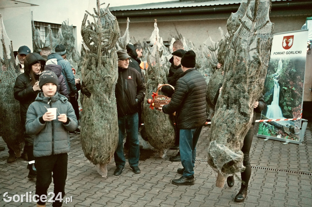 Choinki od Starosty (20.12.)