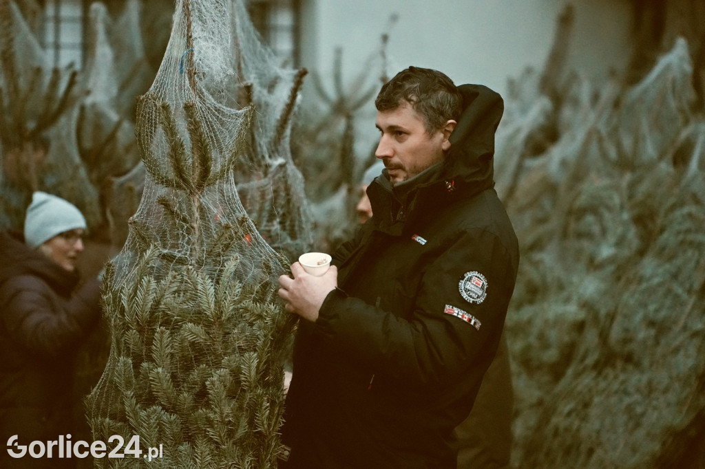 Choinki od Starosty (20.12.)