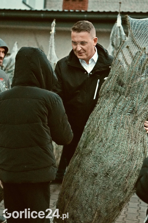 Choinki od Starosty (20.12.)