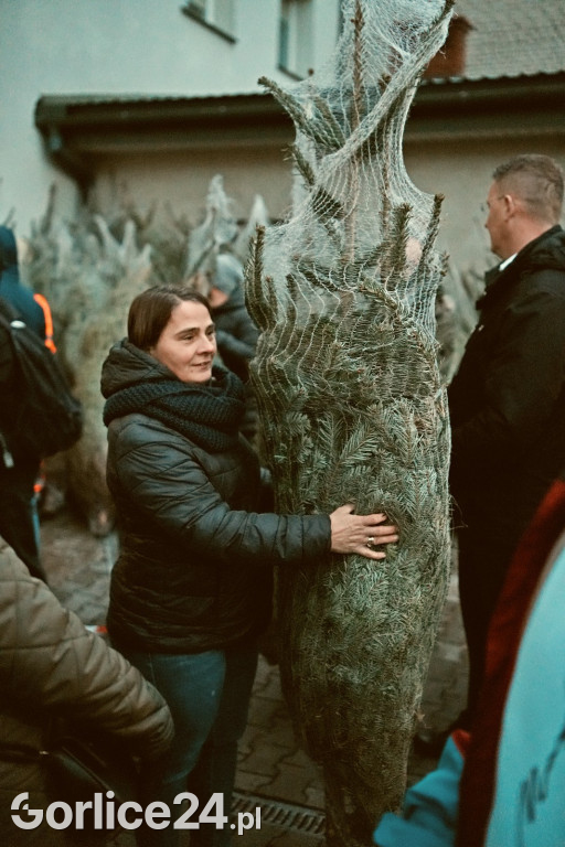 Choinki od Starosty (20.12.)
