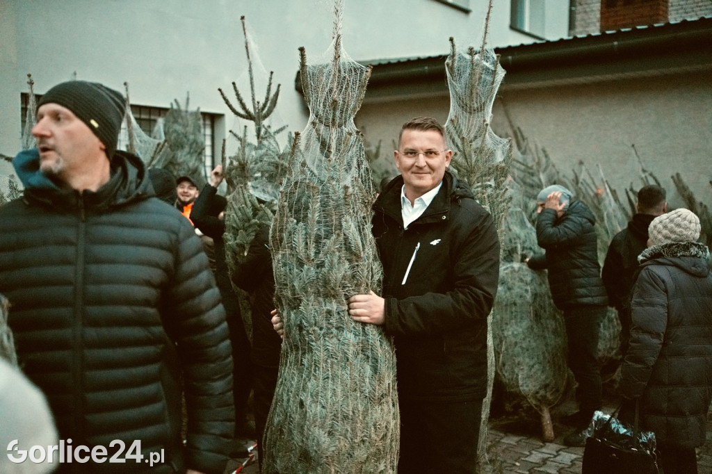 Choinki od Starosty (20.12.)