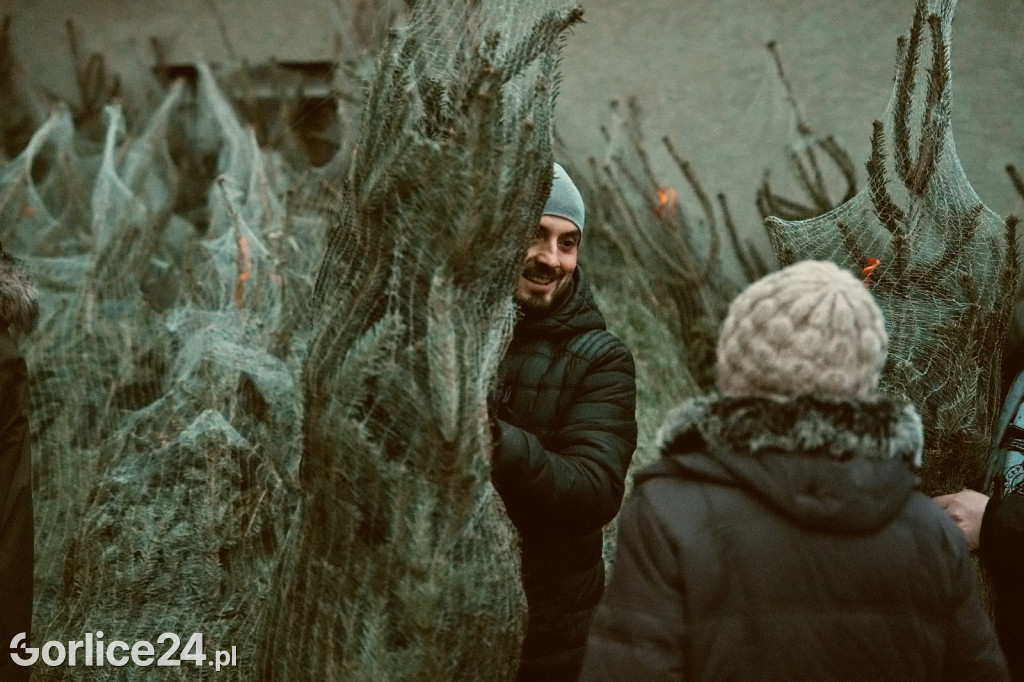 Choinki od Starosty (20.12.)