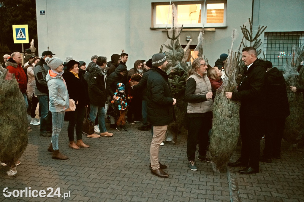 Choinki od Starosty (20.12.)