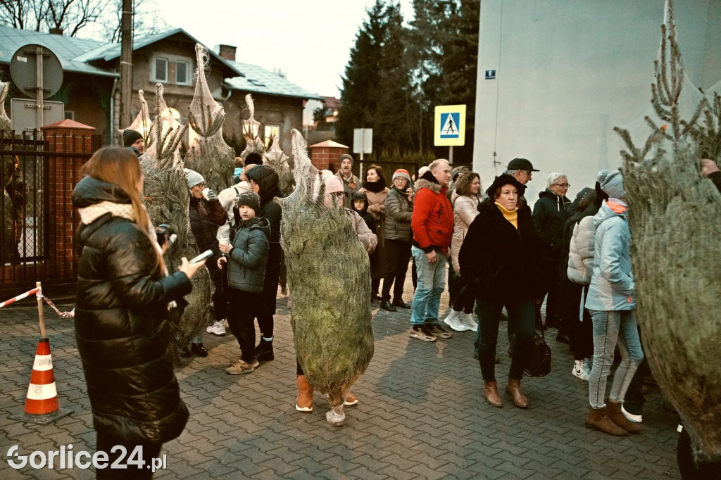 Choinki od Starosty (20.12.)
