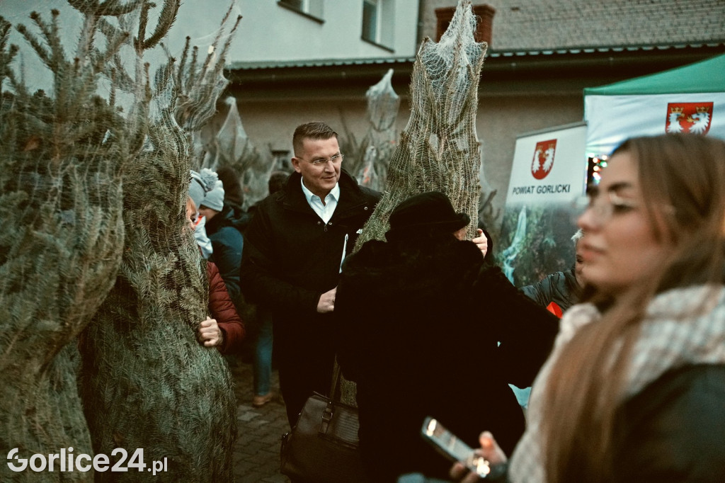 Choinki od Starosty (20.12.)