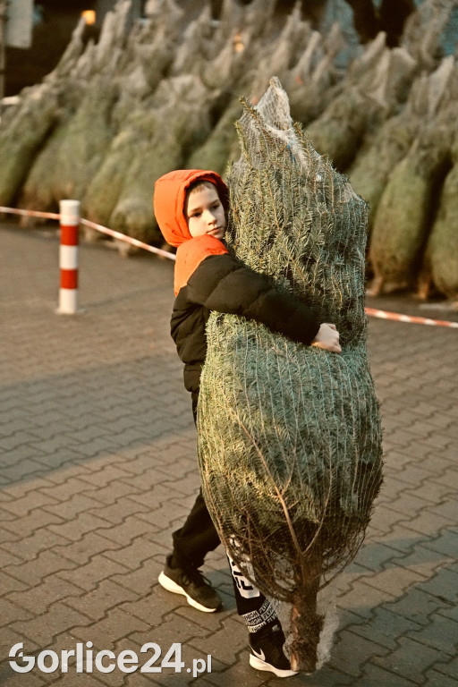 Choinki od Starosty (20.12.)