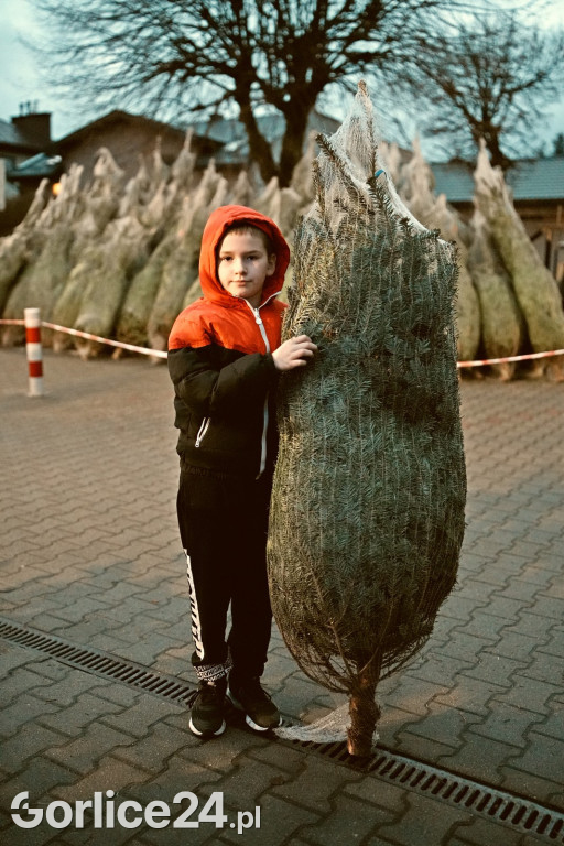 Choinki od Starosty (20.12.)