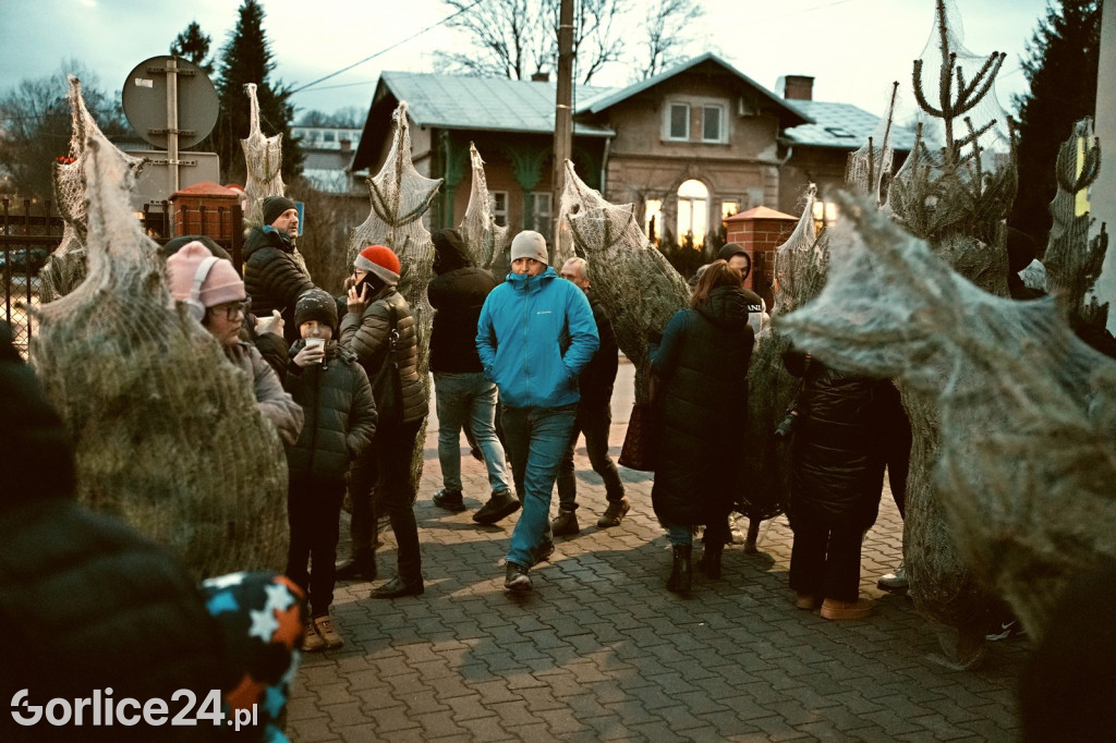 Choinki od Starosty (20.12.)