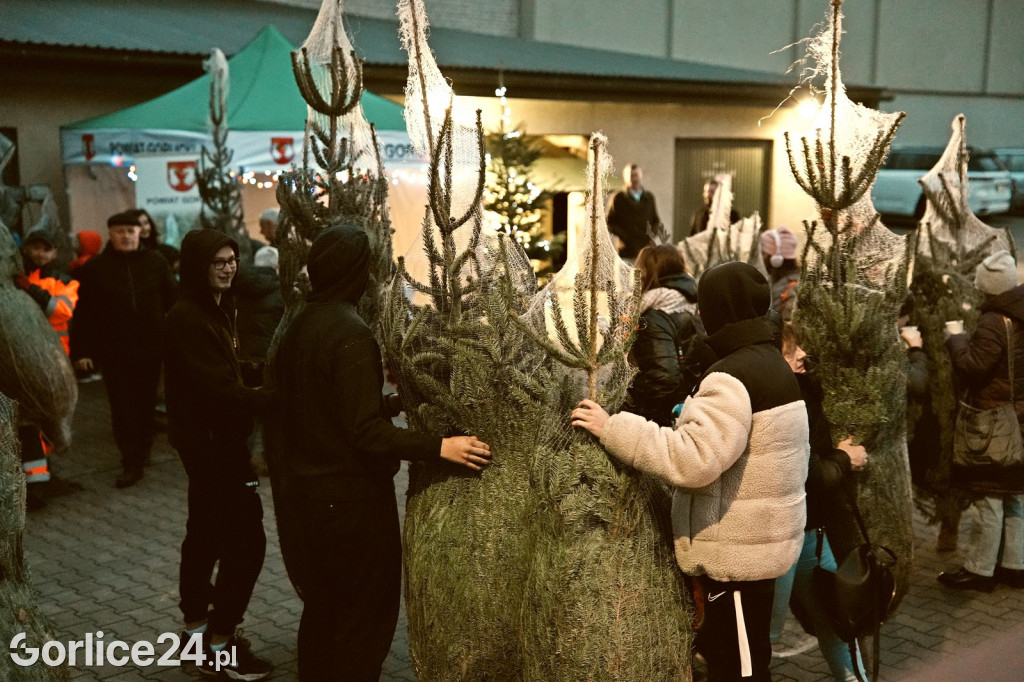 Choinki od Starosty (20.12.)