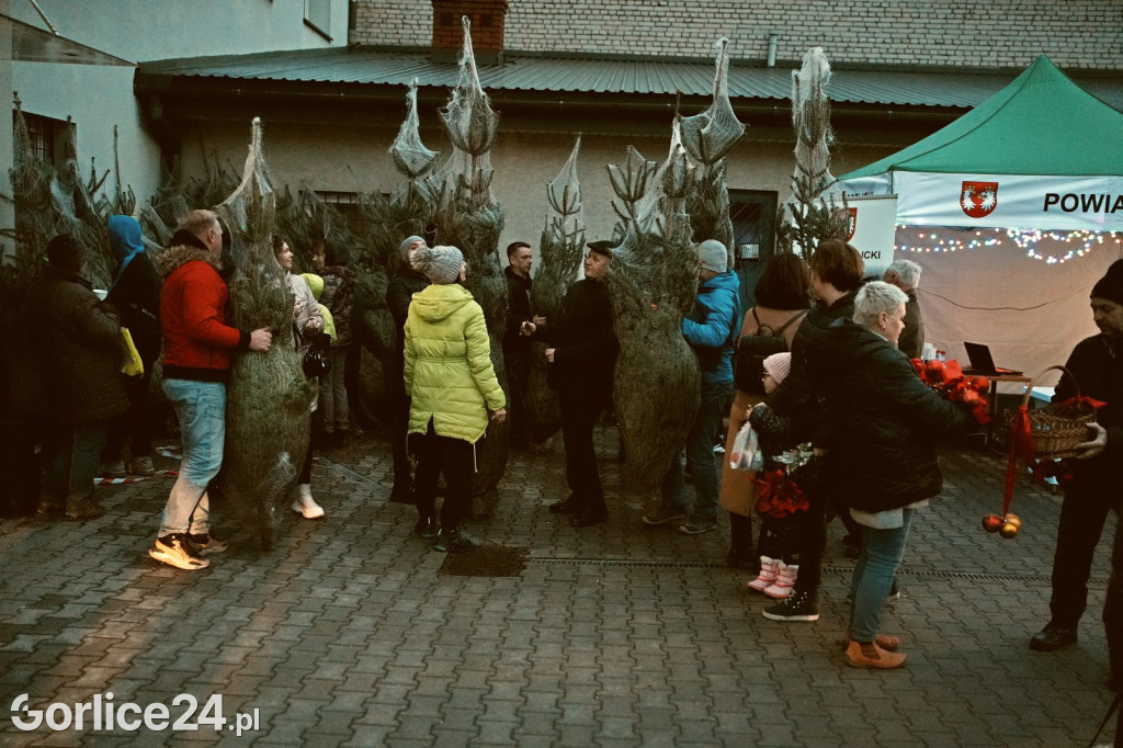 Choinki od Starosty (20.12.)