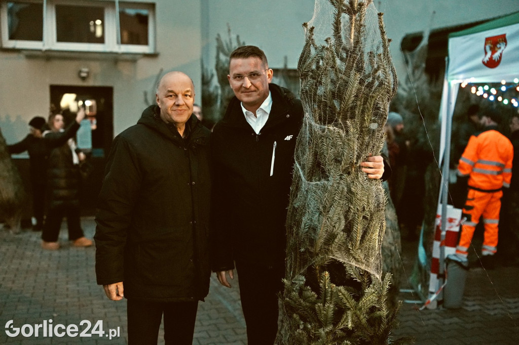 Choinki od Starosty (20.12.)