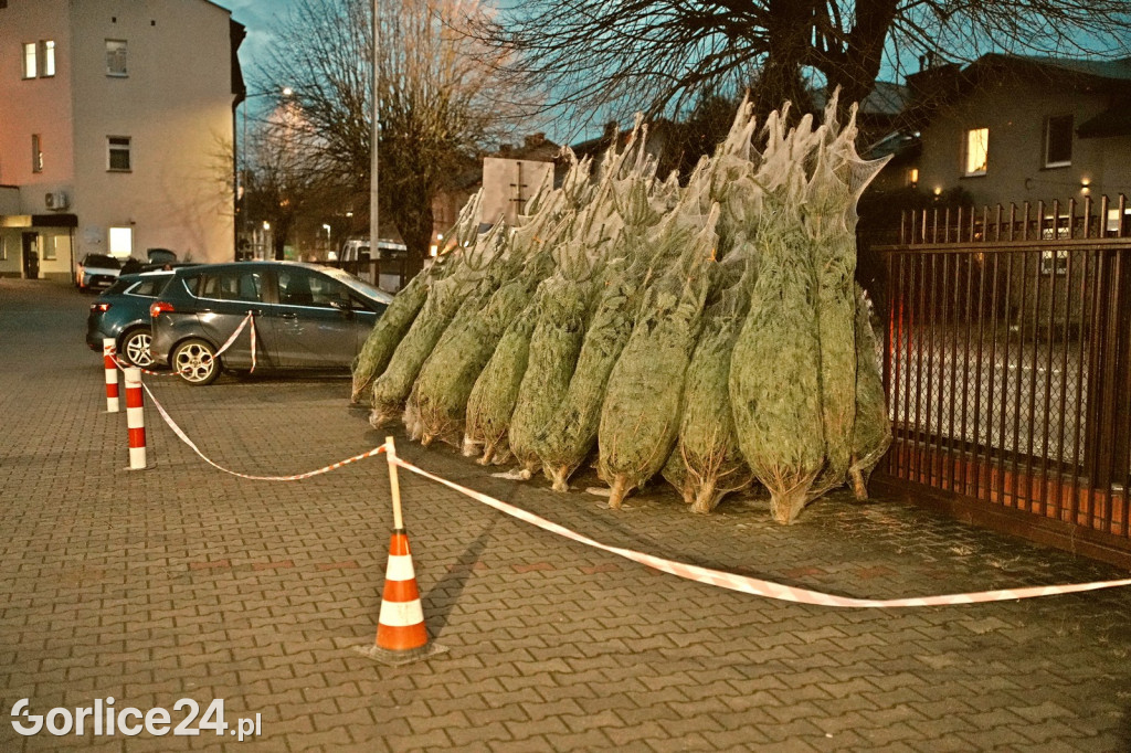Choinki od Starosty (20.12.)